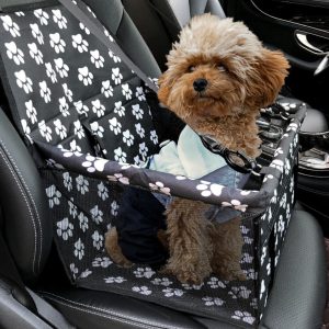 Elevated Small Dog Car Booster Seat with Safety Tether